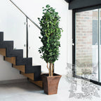 Populus Tree Slim 1