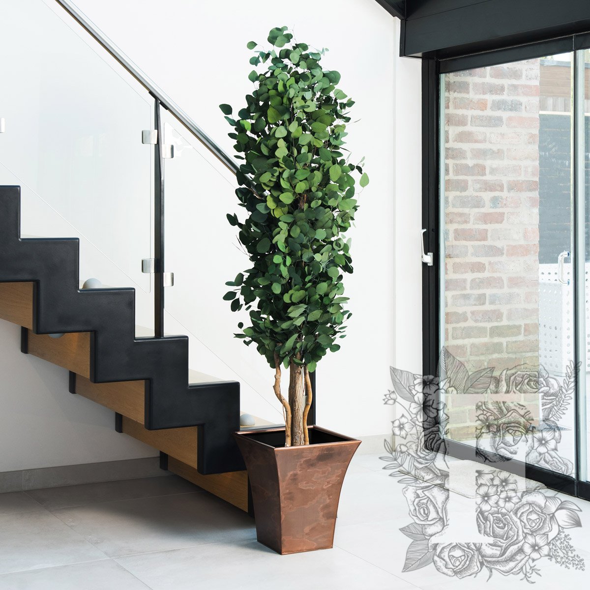 Populus Tree Slim 1
