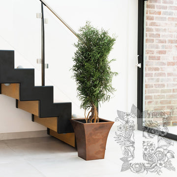 Nicoly Tree Slim 1