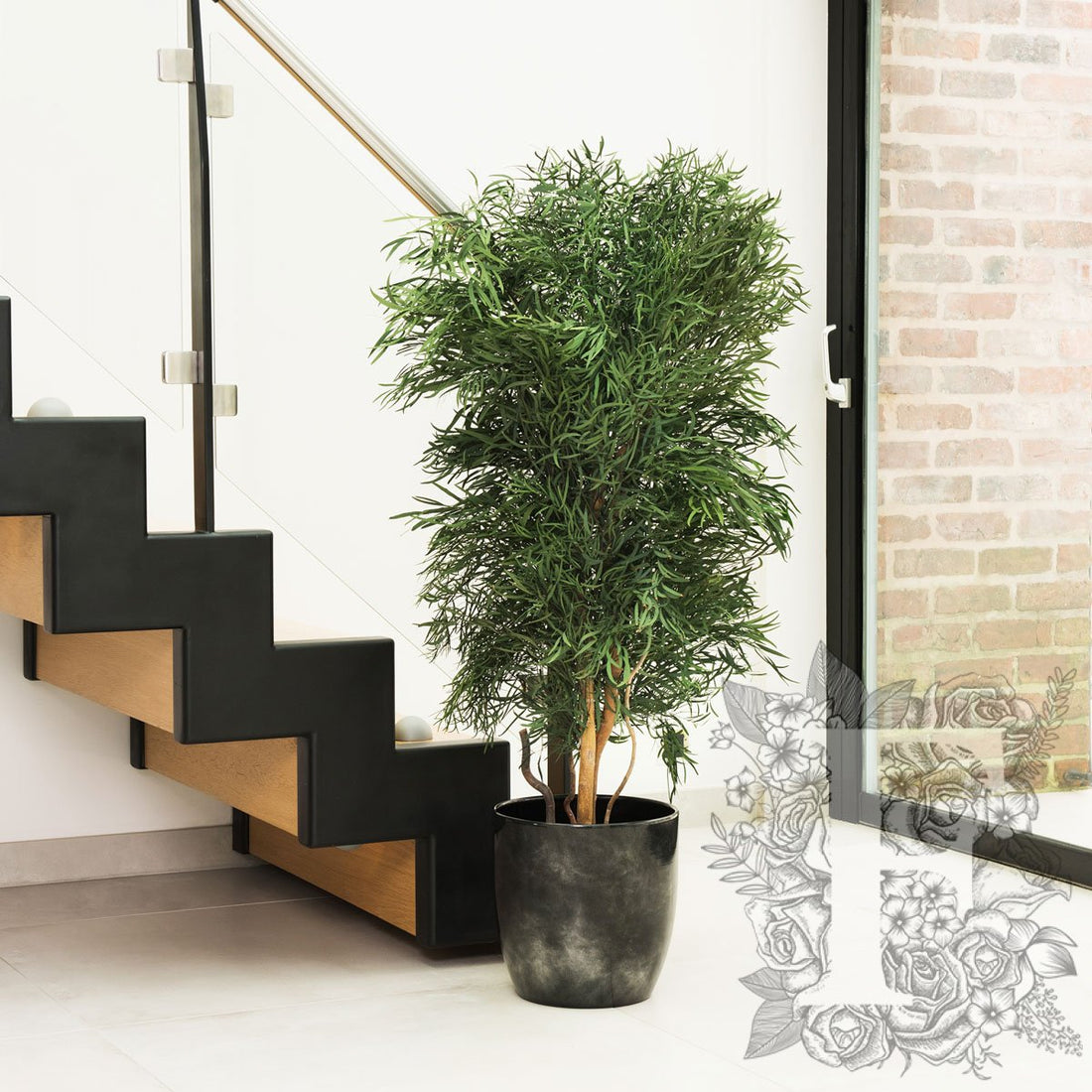 Nicoly Tree Slim 1