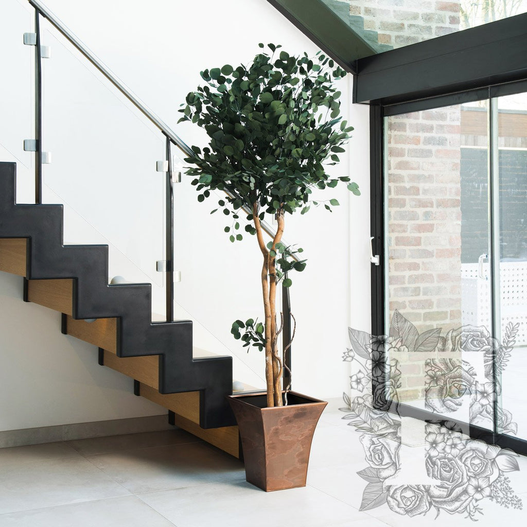 Populus Crown Tree 1