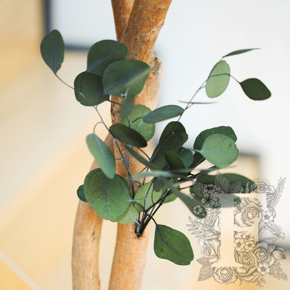 Populus Crown Tree 1