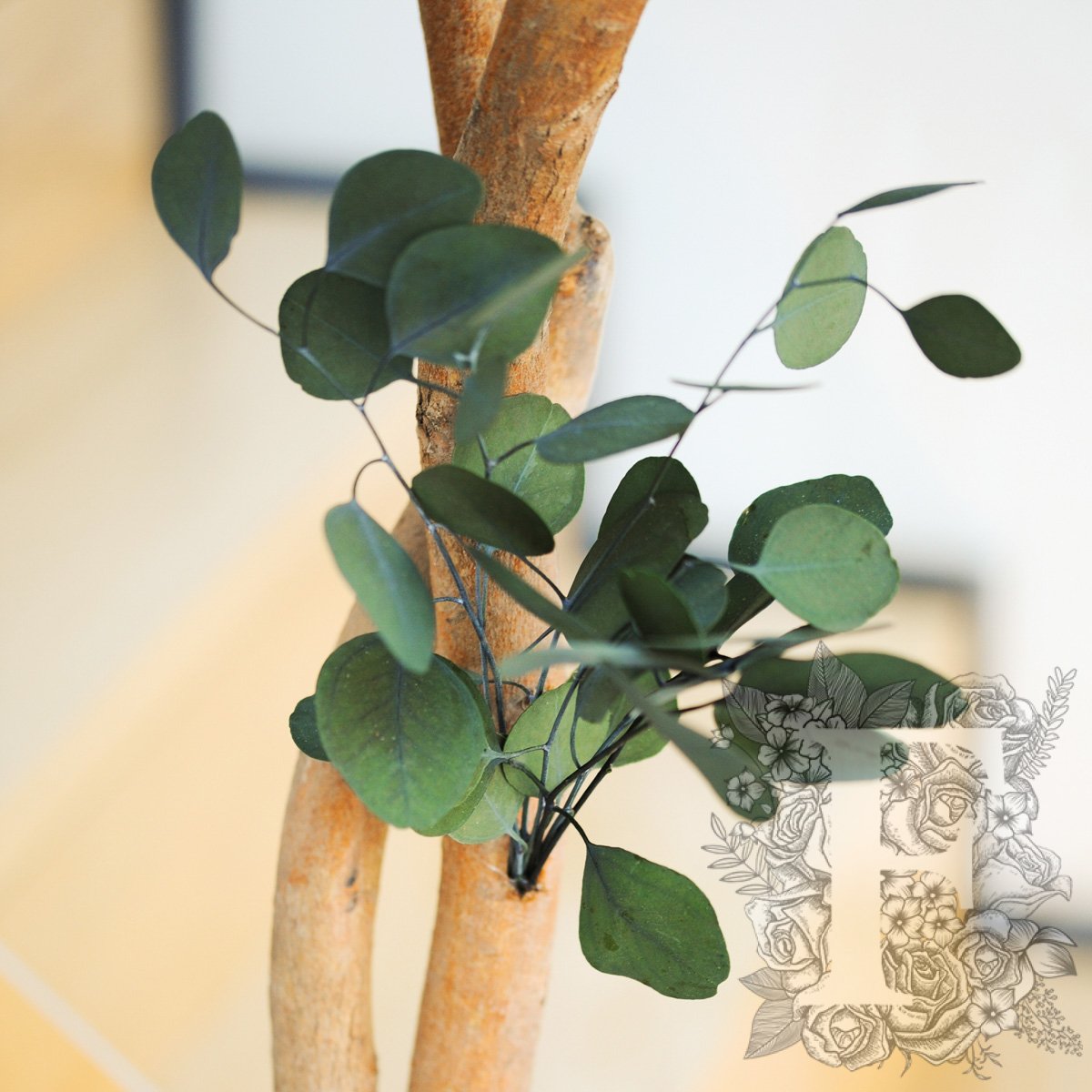Populus Tree Crown 2