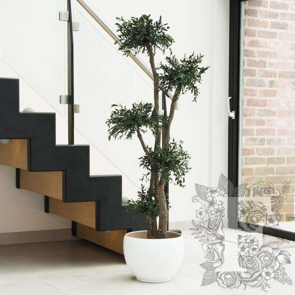 Parvifolia 5 Sphere 1_