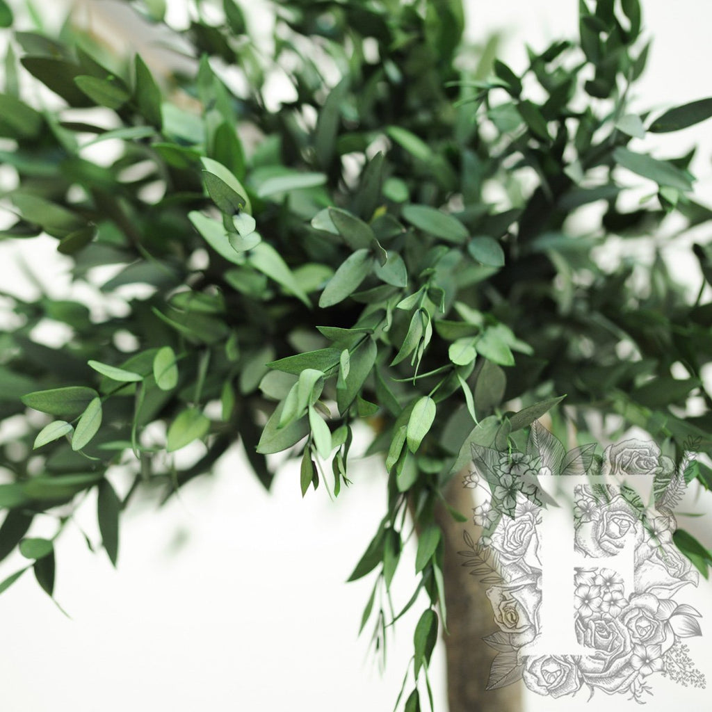 Parvifolia 5 Sphere 4
