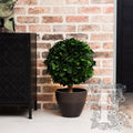Crown Hedera Sphere 1