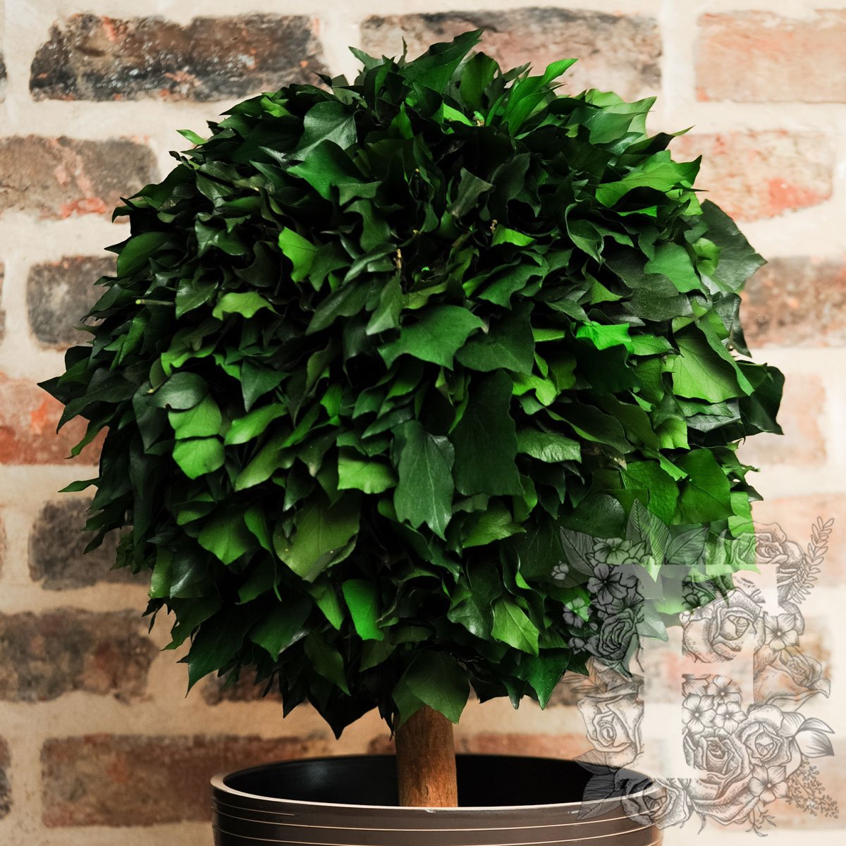 Crown Hedera Sphere 2