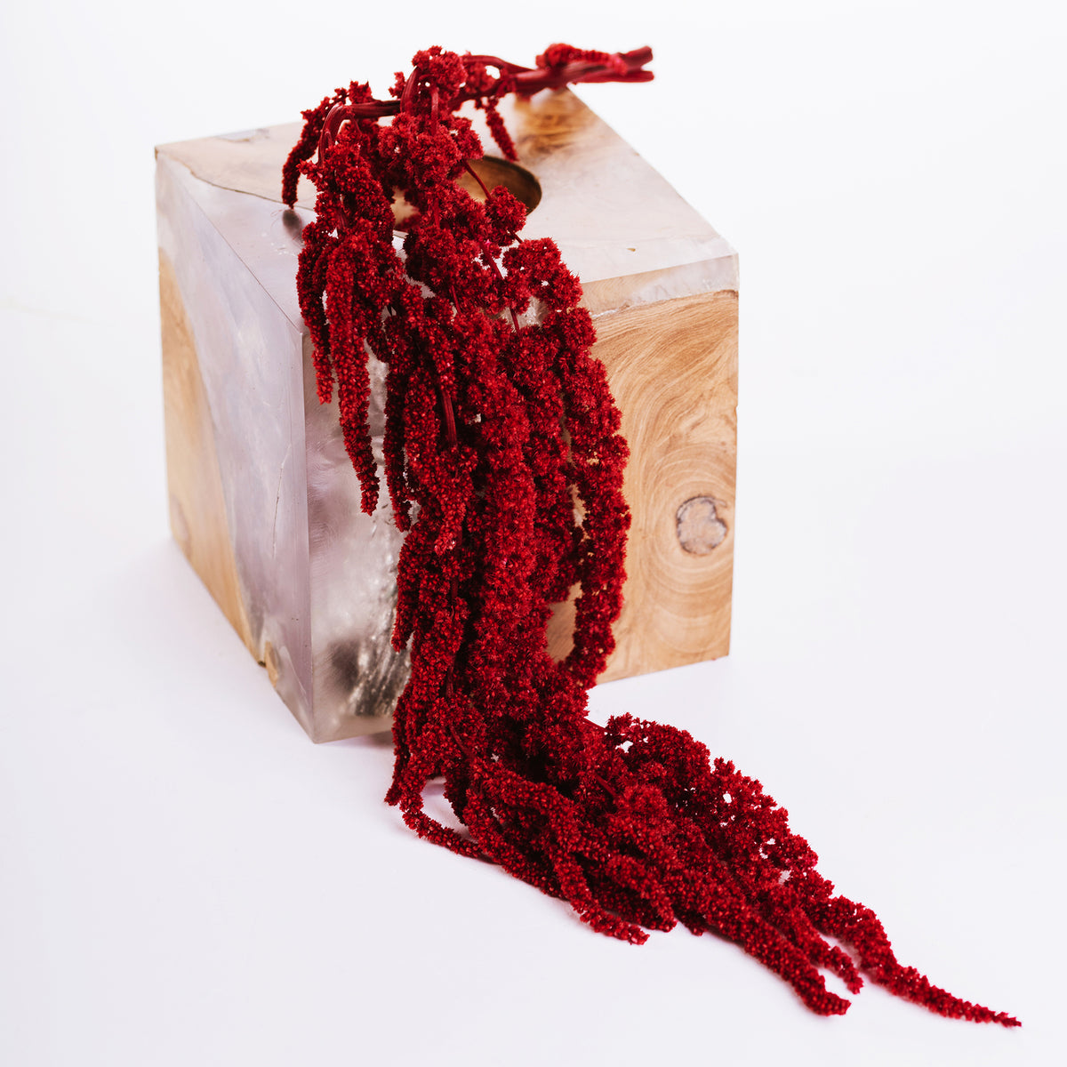 Amaranth Box Red02 1