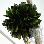 Jumbo Salal 2