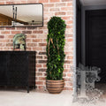 Hedera Totem 1