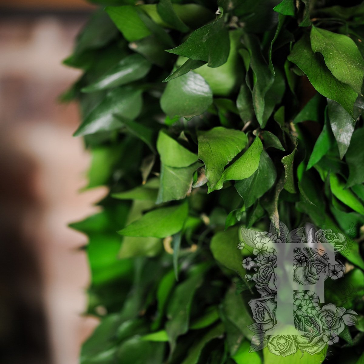 Hedera Totem 3