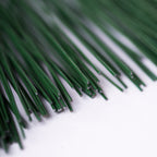 250-JOR_1069