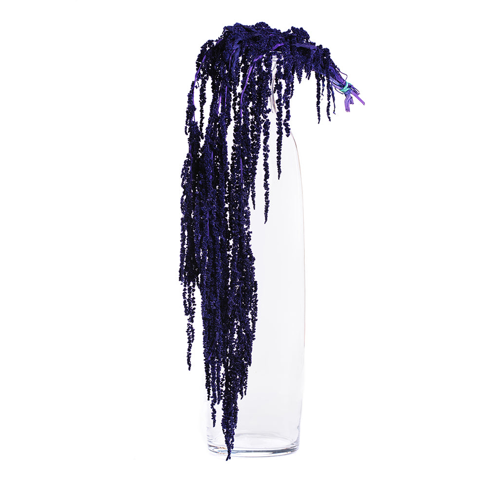 Amaranthus slim - Bunch