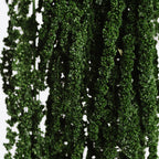 Amaranthus slim - Bunch