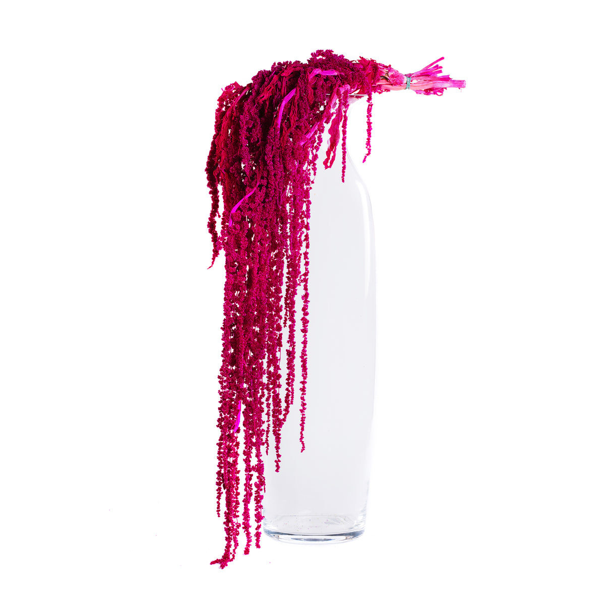 Amaranthus slim - Bunch