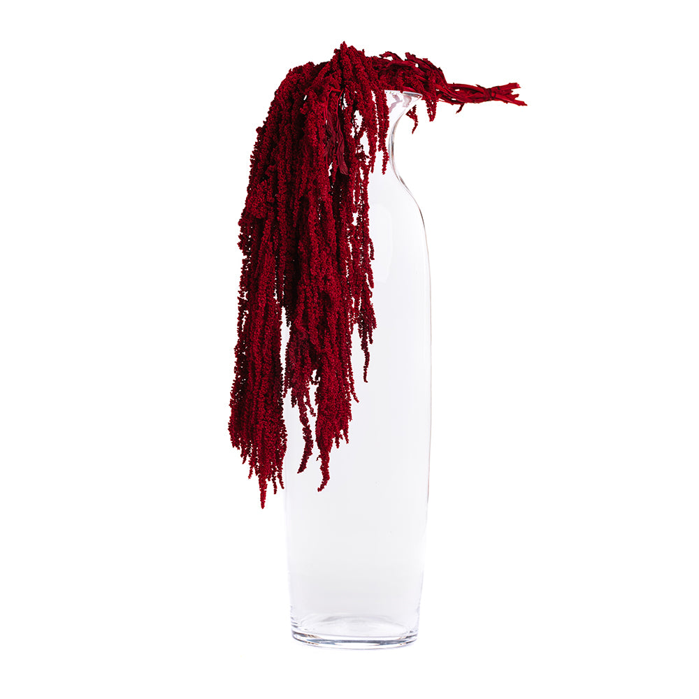 Amaranthus slim - Bunch