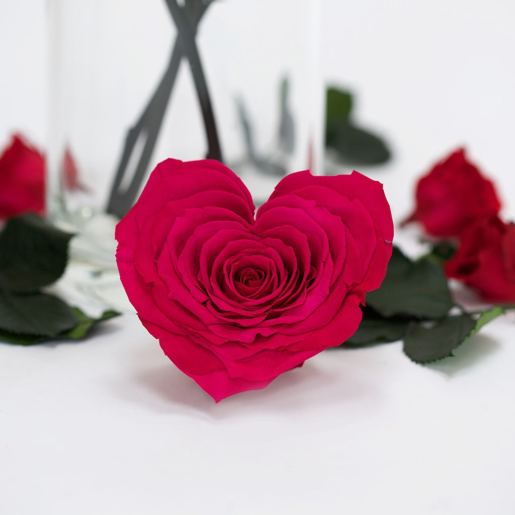 Heart Rose - XXL -1 Head