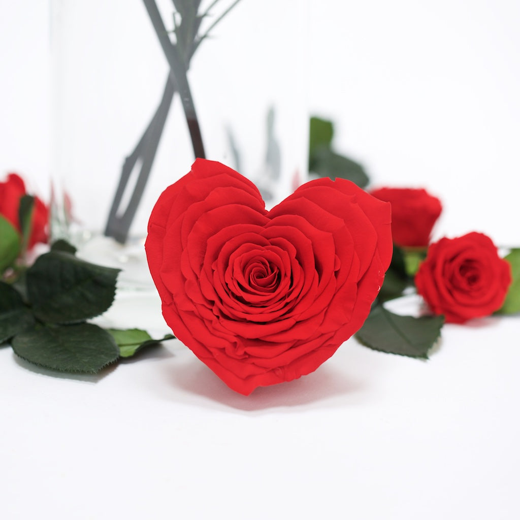 Heart Rose - XXL -1 Head