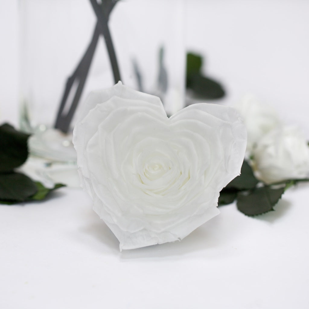 Heart Rose - XXL -1 Head