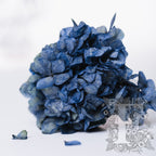 Standard Hydrangea - Stem