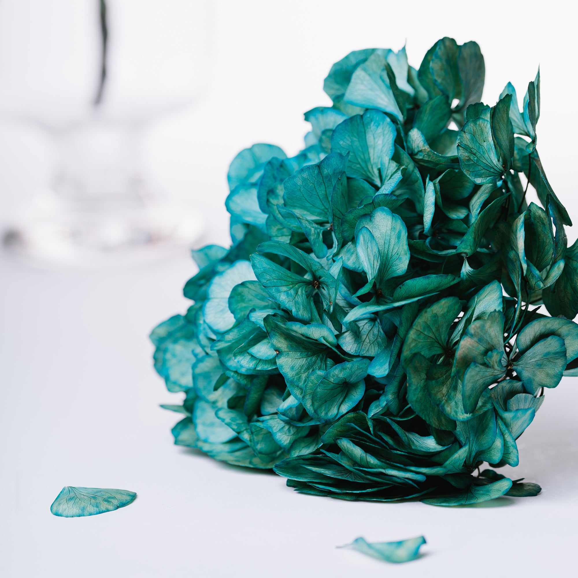Fora Exclusive Hydrangea - Stem