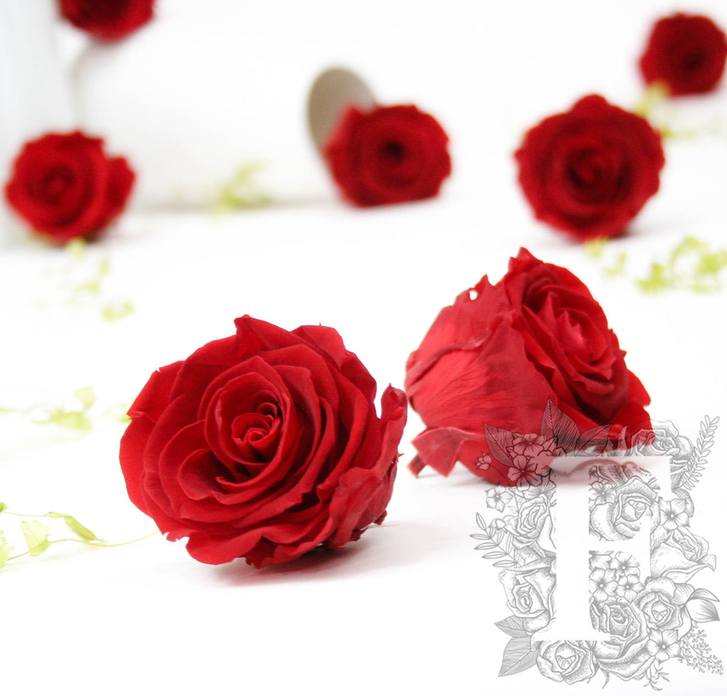 Kiara - Super - 8 Heads