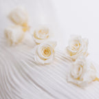 Verdissimo - Princess - 16 Heads