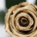 RoseAmor - Warmi Rose - 12 Heads