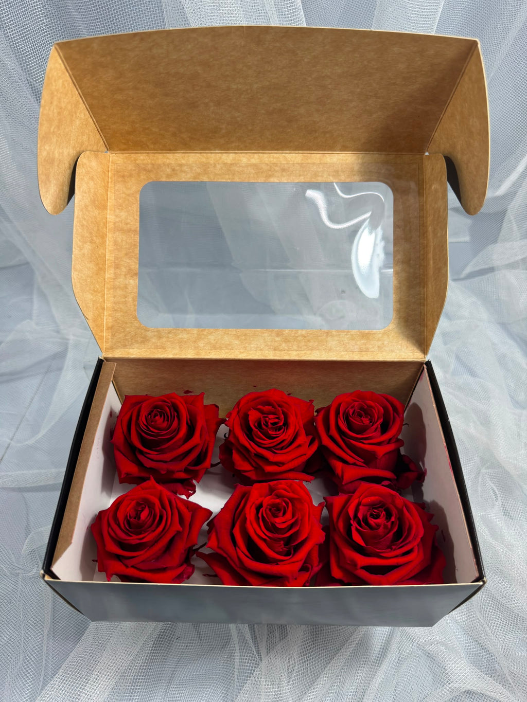 Fora exclusive roses - Medium - 6 Heads - Magic Red