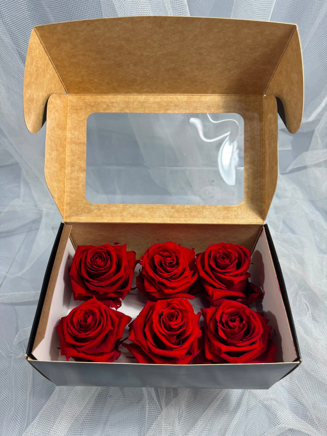 Fora exclusive roses - Medium - 6 Heads - Magic Red