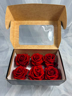 Fora exclusive roses - Medium - 6 Heads - Magic Red