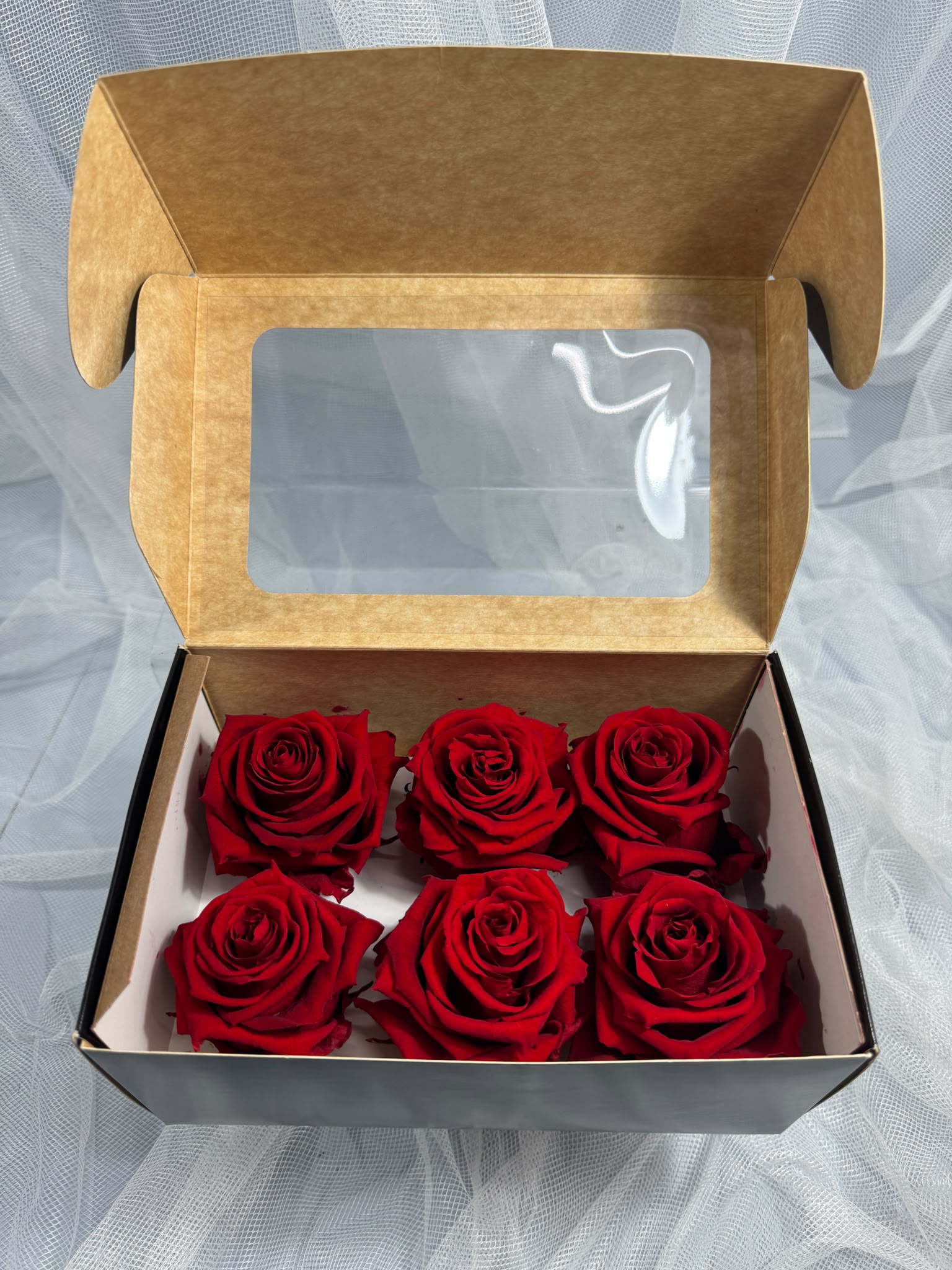 Fora exclusive roses - Medium - 6 Heads - Magic Red