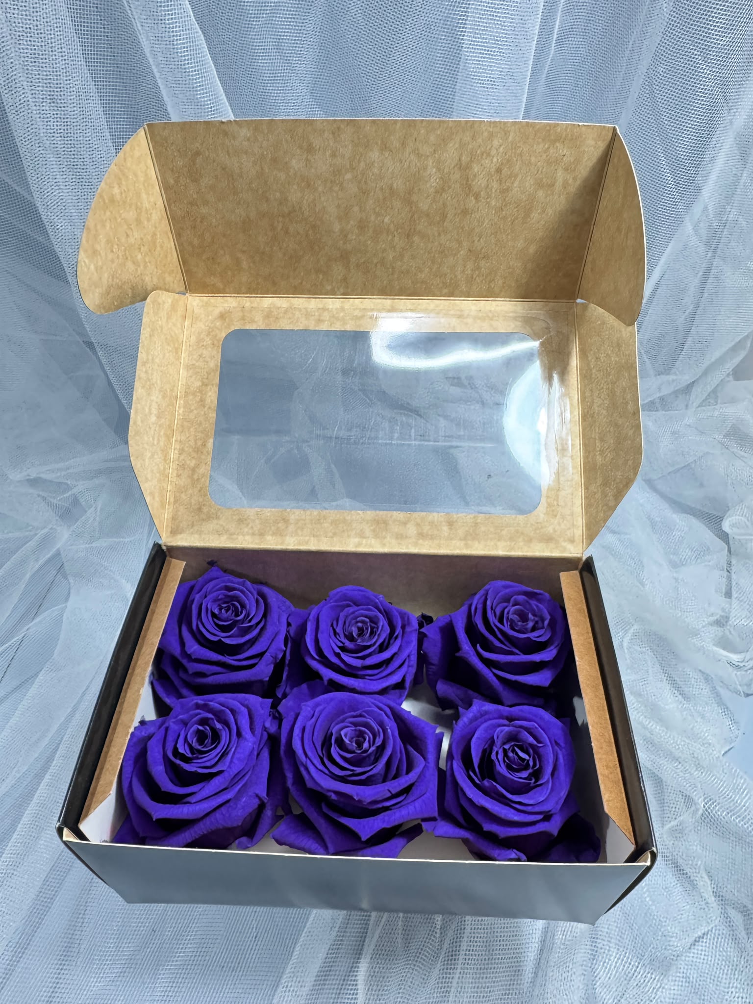 Fora exclusive roses - Medium - 6 Heads - Plum