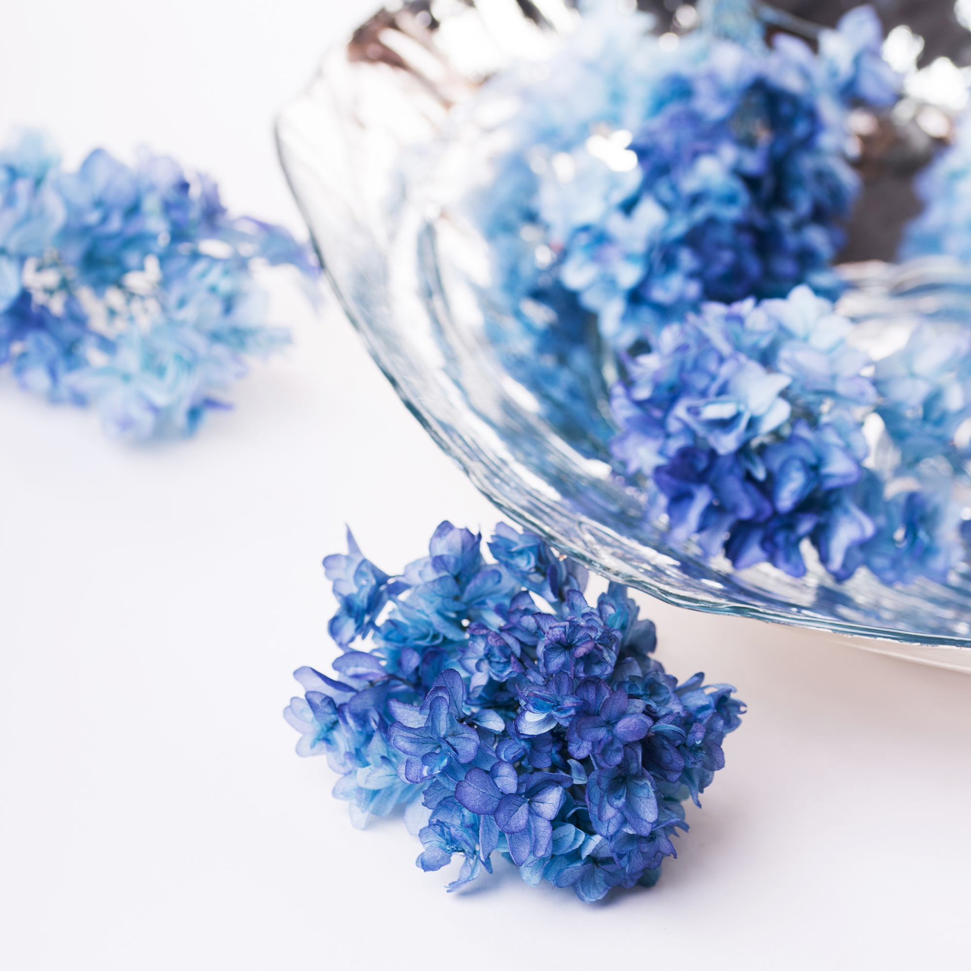 Preserved Flowers Wholesale UK Preserved Hydrangeas Fora Nature