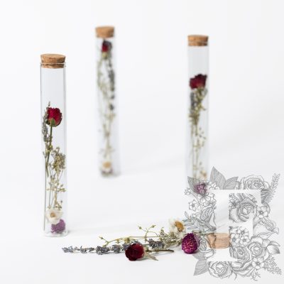 Dried flower - glass vial with cork - Large