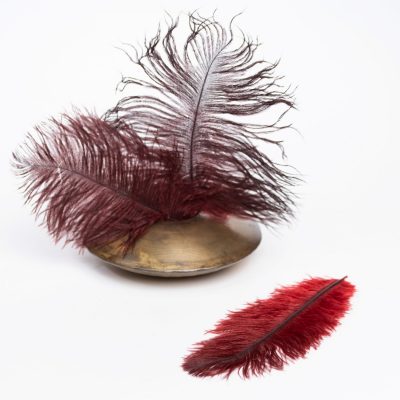 Ostrich Feather - Pack of 3 - Red