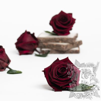 Fora exclusive  roses - Medium - 6 Heads - Plum