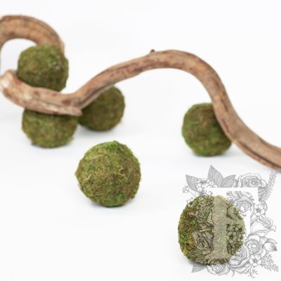 Moss Sphere - Small