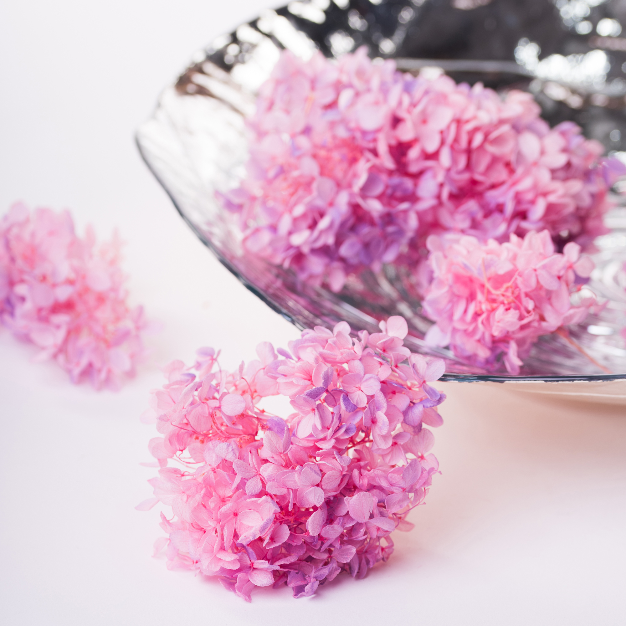 Preserved Flowers Wholesale UK Preserved Hydrangeas Fora Nature