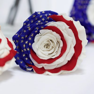 Exclusive - Flag Roses - Box of 6