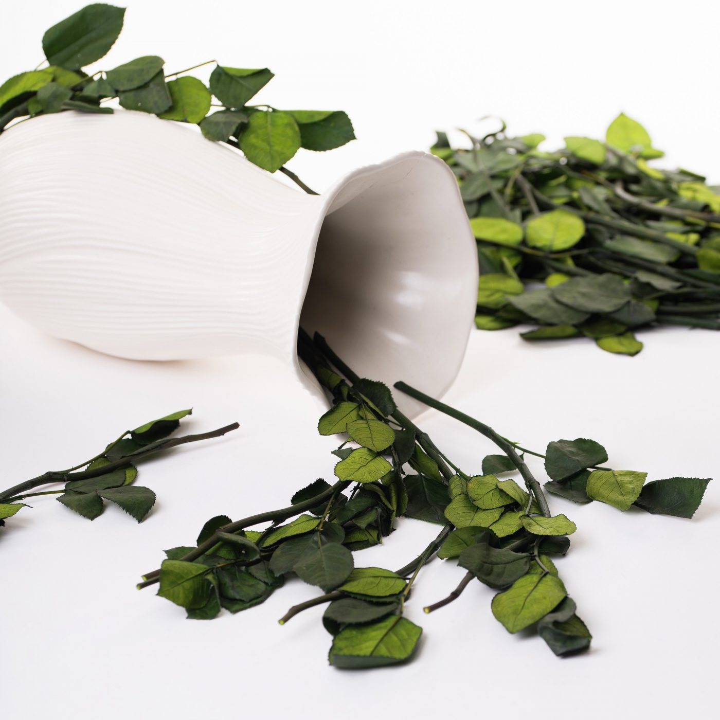 Curved Stem Per Stem Fora Nature