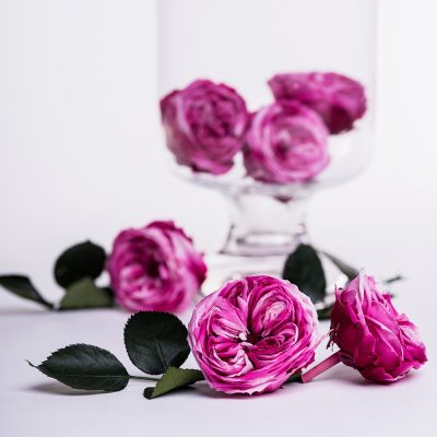 Garden Rose - Temari Blossom - 4 Heads