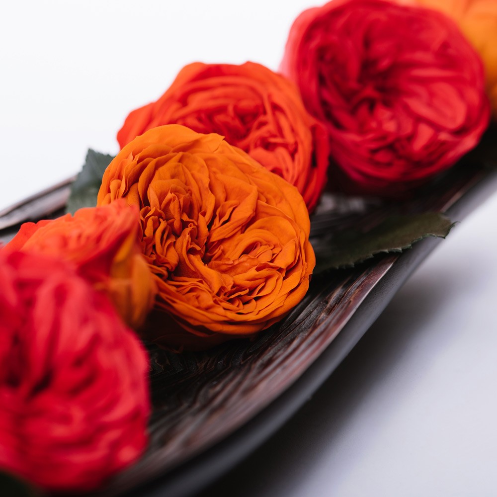 colour-contrasting colour-contrasting