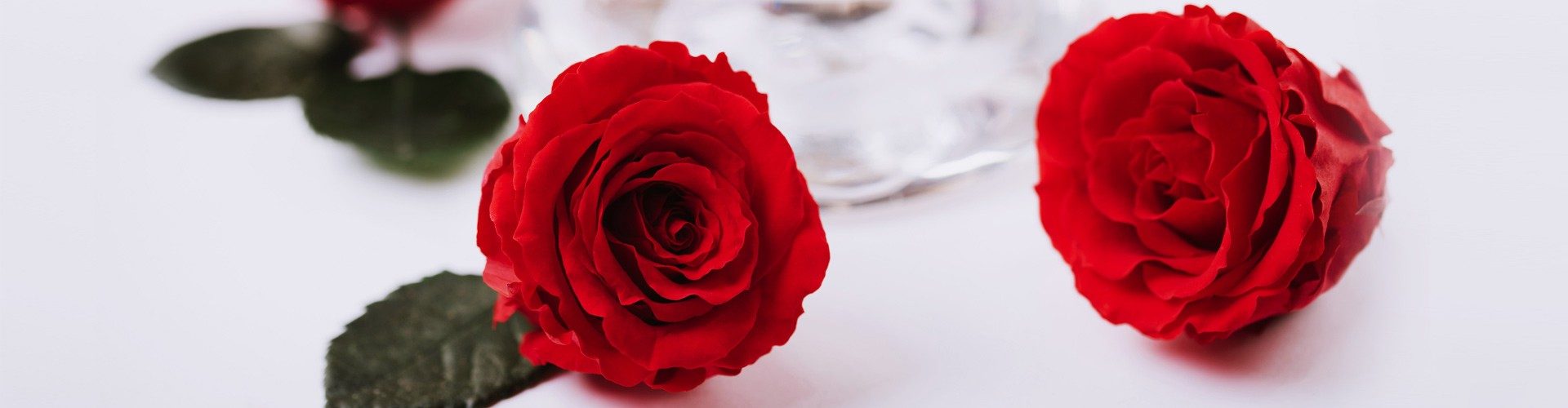 Preserved Roses UK Wholesale Forever Roses Wholesale Fora Nature