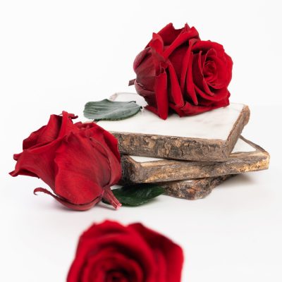 Fora exclusive roses - Medium - 6 Heads - Magic Red