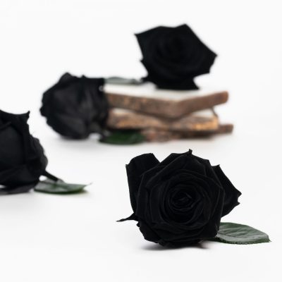 Fora exclusive  roses - Medium - 6 Heads - Black