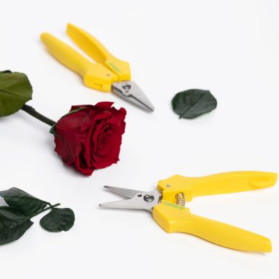Floral Shears - 1 Pack