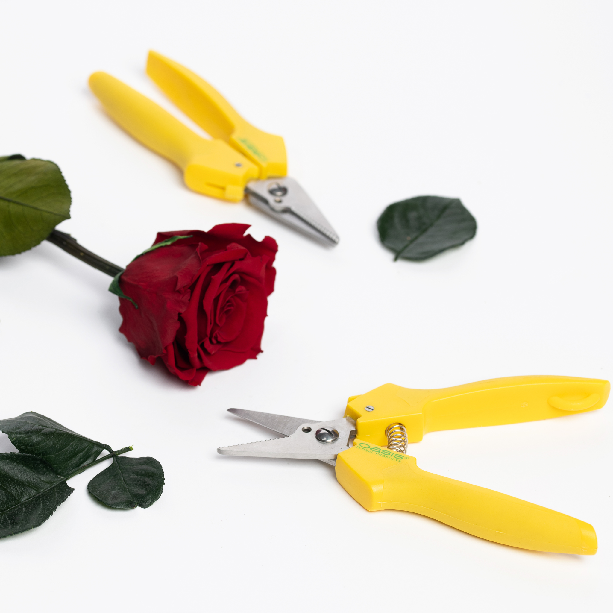 Floral Shears 1 Pack Fora Nature