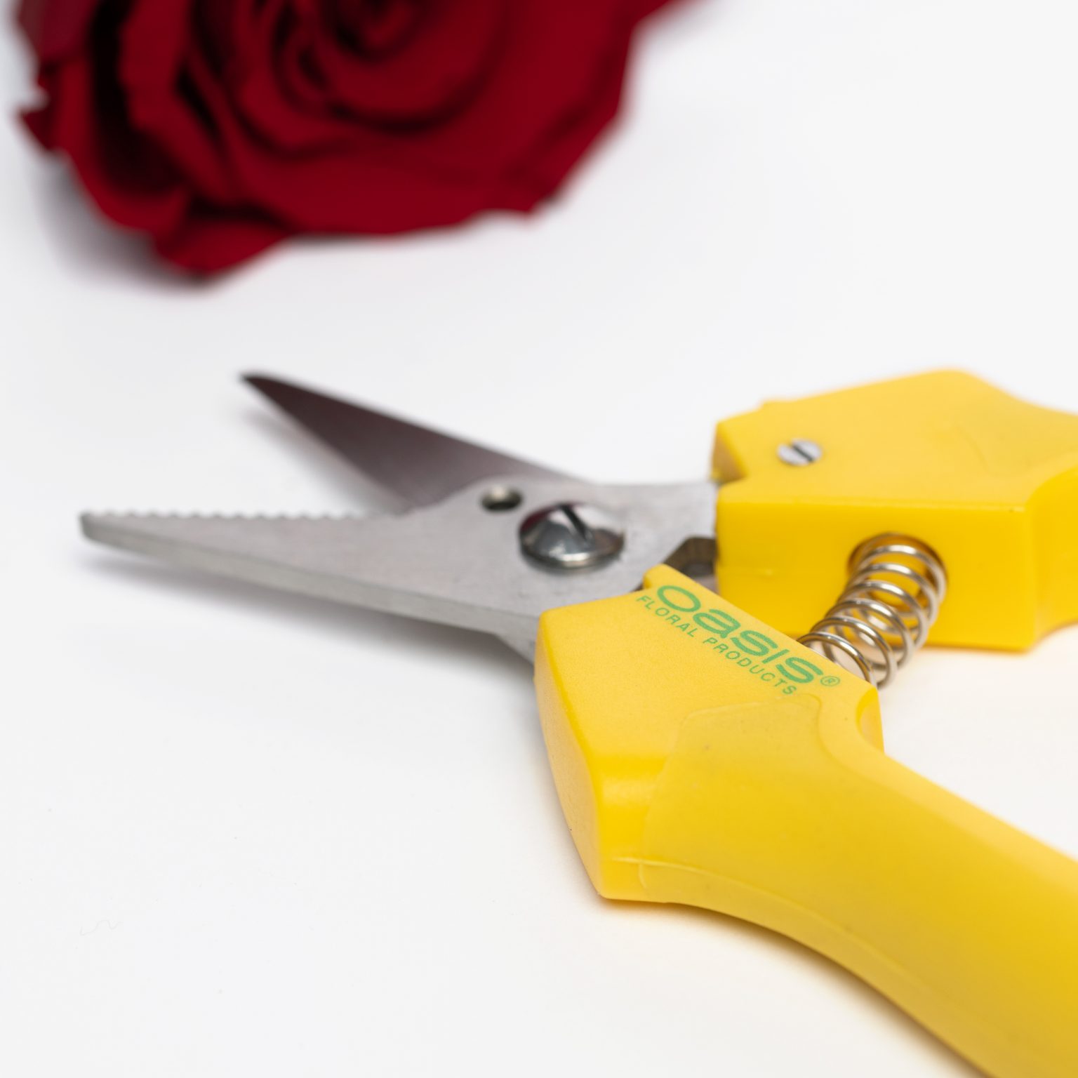 Floral Shears 1 Pack Fora Nature