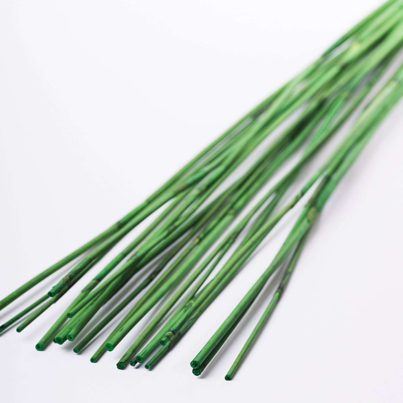 Elephant Reed Bunch Fora Nature